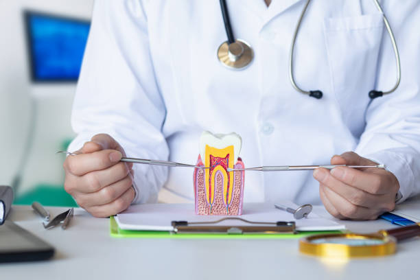 Best Dental Abscess Treatment in Vail, AZ